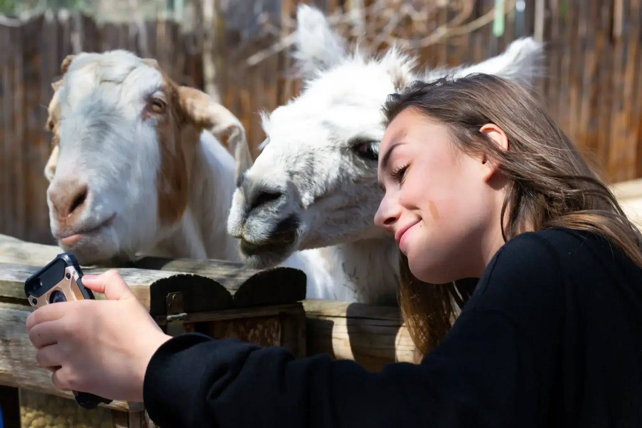 dierenpark bij Auch